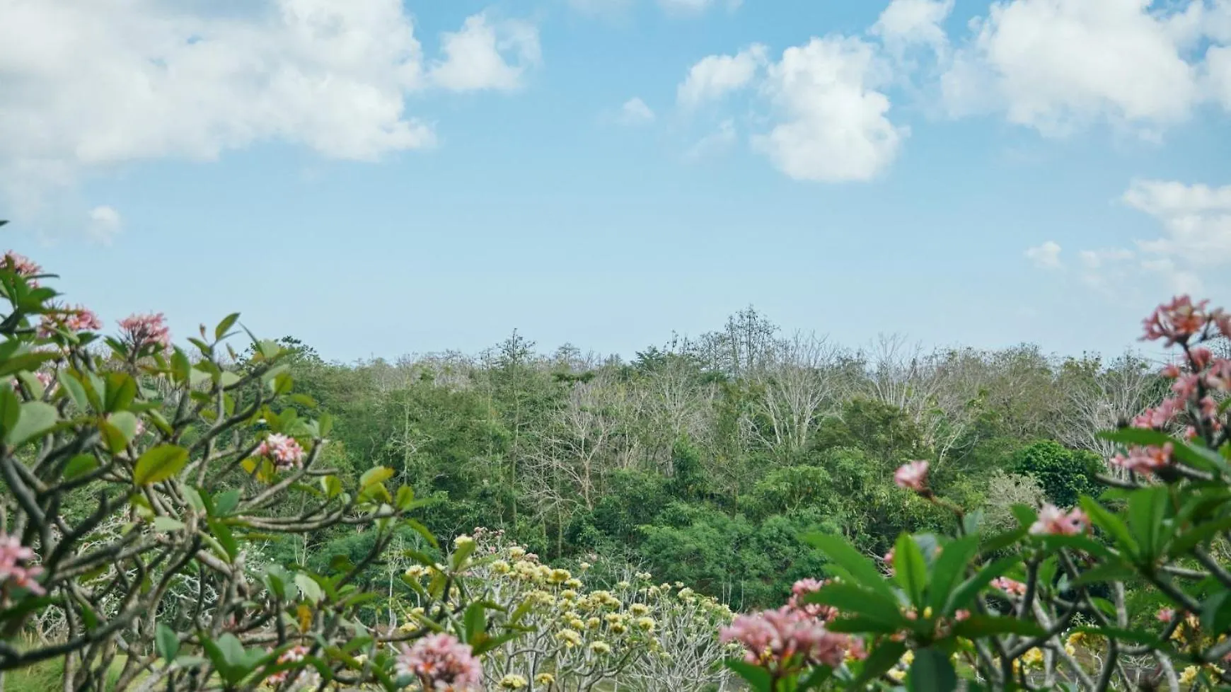 Rimba By Ayana Bali Hotel Jimbaran  Indonesia